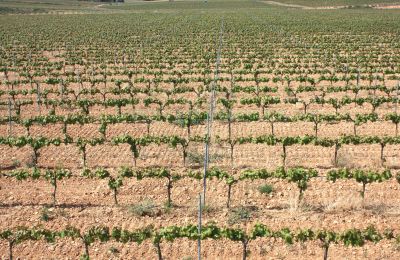 Manor House for sale Vila-rodona, Catalonia, Image 10/37