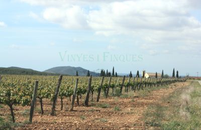 Manor House for sale Vila-rodona, Catalonia, Image 8/37
