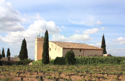 Manor House for sale Vila-rodona, Catalonia, Image 3/37