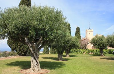 Manor House for sale Vila-rodona, Catalonia, Image 2/37