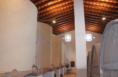 Manor House for sale Vila-rodona, Catalonia, Image 16/37