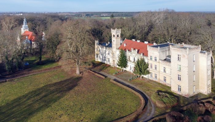 Castle for sale Gościeszyn, Greater Poland,  Poland