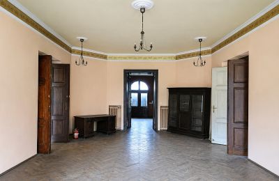 Castle for sale Gościeszyn, Pałac w Gościeszynie, Greater Poland, Image 7/15