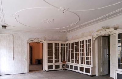 Castle for sale Gościeszyn, Pałac w Gościeszynie, Greater Poland, Library