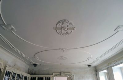 Castle for sale Gościeszyn, Pałac w Gościeszynie, Greater Poland, Stucco decorations