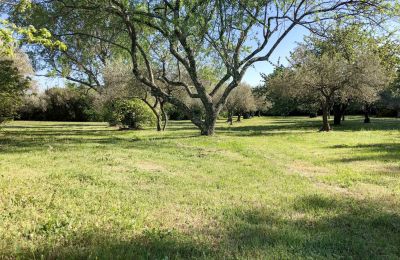 Country home for sale Uzès, Occitania, Image 13/14