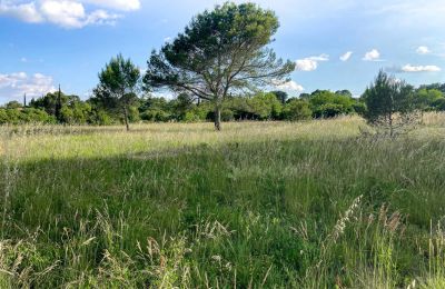 Country home for sale Uzès, Occitania, Image 7/14