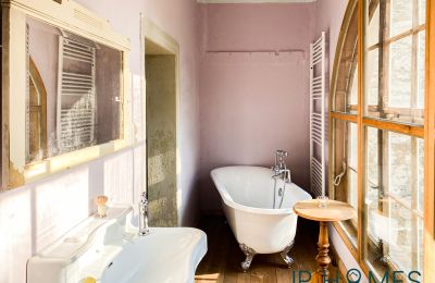 Castle for sale 06632 Gleina, Saxony-Anhalt, Innenansicht-Main House