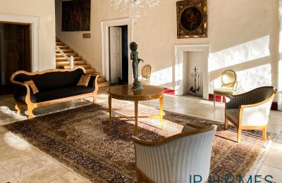 Castle for sale 06632 Gleina, Saxony-Anhalt, Innenansicht-Main House