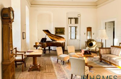 Castle for sale 06632 Gleina, Saxony-Anhalt, Innenansicht-Main House
