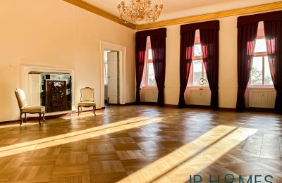 Castle for sale 06632 Gleina, Saxony-Anhalt, Innenansicht-Main House