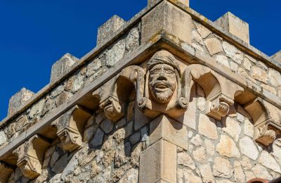 Historic property for sale Castile and León, Image 26/42