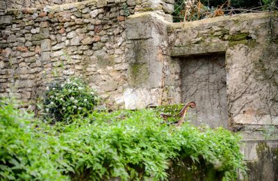 Manor House for sale Uzès, Occitania, Garden