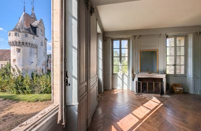 Castle for sale Chartres, Centre-Loire Valley, Image 7/10