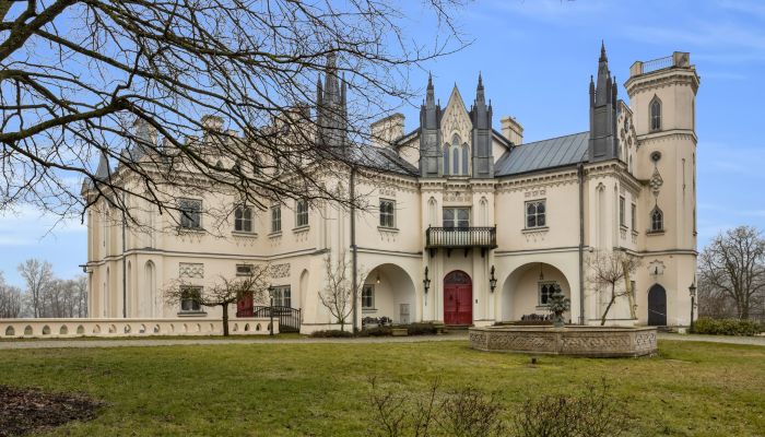 Castle for sale Patrykozy-Kolonia, Mazovia