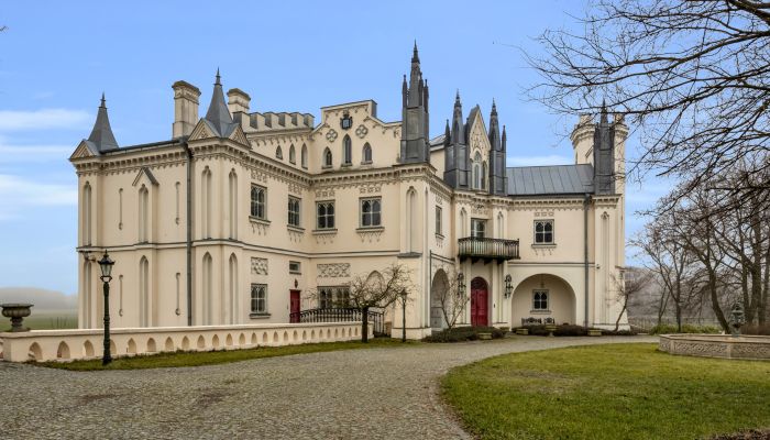 Gothic revival country house in Mazovia