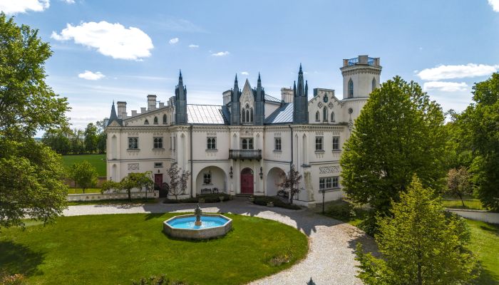 Castle for sale Patrykozy, Mazovia,  Poland