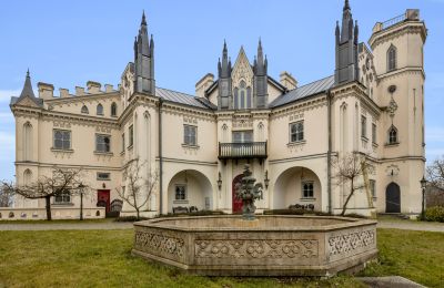 Castle Patrykozy-Kolonia, Mazovia