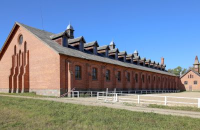 Historic property for sale Žagariškiai, Siauliai County, Image 11/37