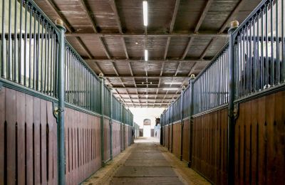 Historic property for sale Žagariškiai, Siauliai County, Horse stalls