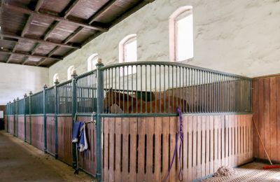 Historic property for sale Žagariškiai, Siauliai County, Horse stalls