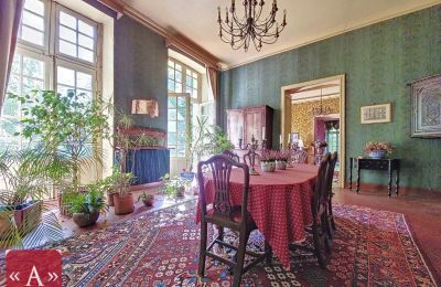 Historic Villa for sale Rabastens, Occitania, Image 9/18
