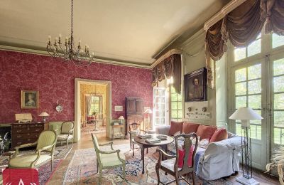 Historic Villa for sale Rabastens, Occitania, Image 4/18
