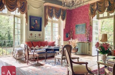 Historic Villa for sale Rabastens, Occitania, Image 2/18