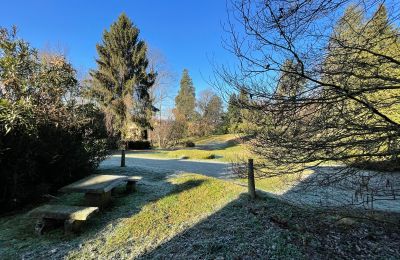 Historic Villa for sale Castelletto Sopra Ticino, Piemont, Image 5/24