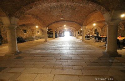 Castle for sale Italy, Image 19/21