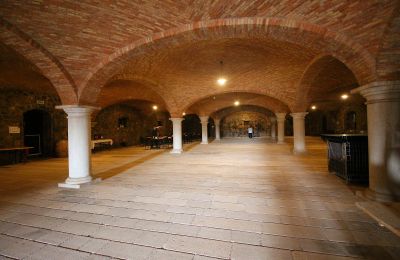 Castle for sale Italy, Image 22/25