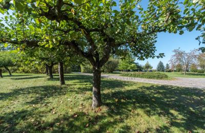 Manor House for sale Trębki Nowe, Mazovia, Image 25/35