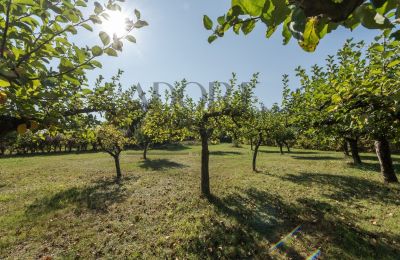 Manor House for sale Trębki Nowe, Mazovia, Image 26/35
