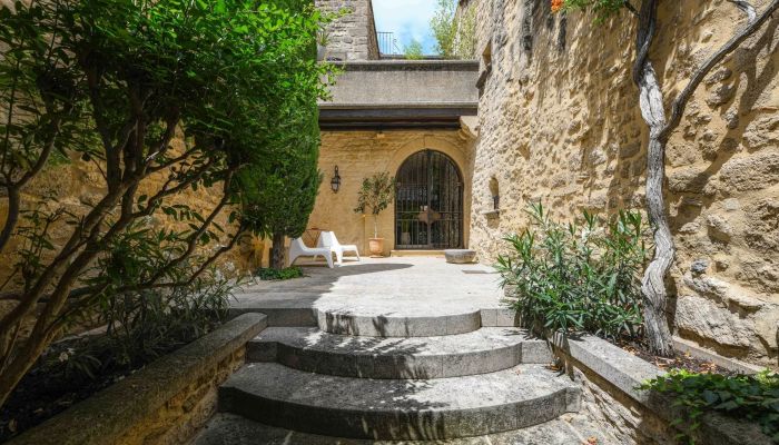 Historic home with inner courtyard, vaulted ceilings and roof terrace near Vers-Pont-du-Gard