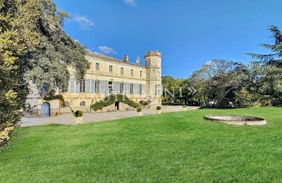 Manor House for sale Saint-Sulpice-la-Pointe, Occitania, Image 3/18