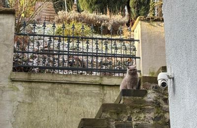 Historisk villa til salg 58762 Altena, Bachstraße 66, Nordrhein-Westfalen, außentreppe zum Garten