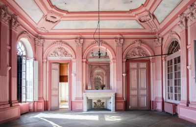 Castle for sale Loches, Centre-Loire Valley, Ballroom