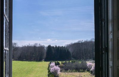 Castle for sale Loches, Centre-Loire Valley, View