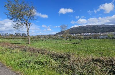 Manor House for sale 36740 Tomiño, Galicia, Image 16/28