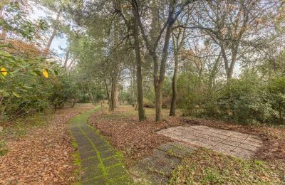 Historic Villa for sale Senigallia, Via Casini-Soccorso 1/A, Marche, Image 32/39