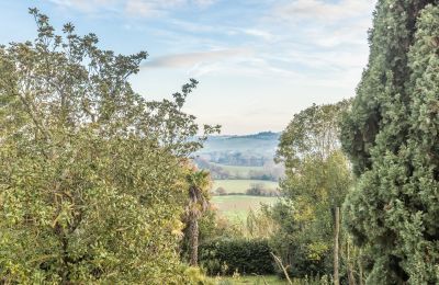 Historic Villa for sale Senigallia, Via Casini-Soccorso 1/A, Marche, Garden