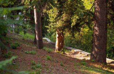 Historic Villa for sale Bosia, Via Rutte  2, Piemont, Image 36/47