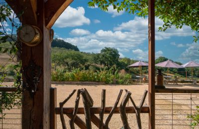 Castle for sale New Aquitaine, Image 28/35