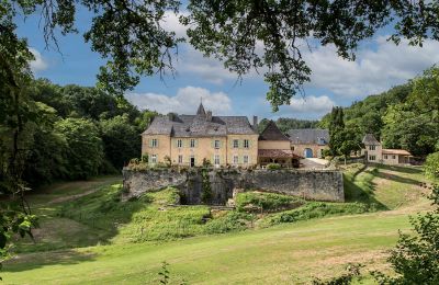 Castle New Aquitaine