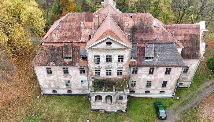 Castle for sale Rychnów, Opole Region,  Poland