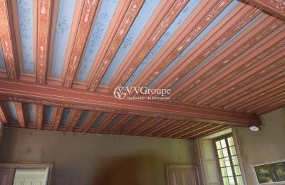 Castle for sale Thouars, New Aquitaine, Image 7/14