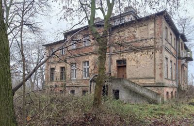Manor House for sale Parsko, Pałac w Parsku, Greater Poland, Image 14/16