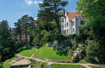 Historic Villa for sale Biel/Bienne, Alpenstrasse 95, Bern, Historisches Juwel in beliebtem Beaumont-Quartier von Biel