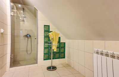 Manor House for sale Machcin, Greater Poland, Image 23/26