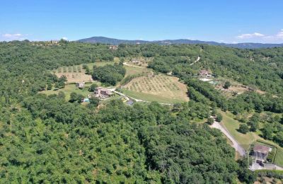 Country home for sale 06060 Lisciano Niccone, Umbria, Image 21/48